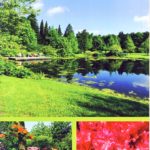 Parks und Gartenkultur im Ammerland