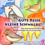 Gute Reise, kleine Schwalbe!