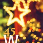 45 kleine Weihnachtsgeschichten