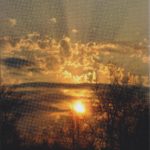 Sind alle Menschen Afrikaner?