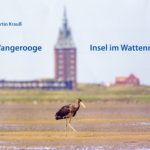 Wangerooge