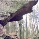 Felsenfeste Wohnungen der Urgeschichte