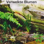 Verwelkte Blumen