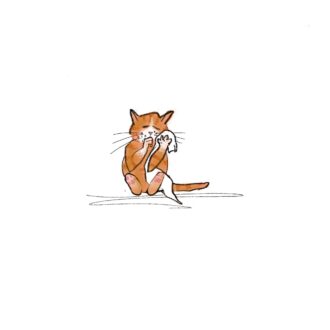 katze1